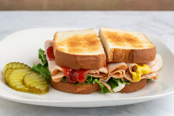 turkey sandwich with pickles