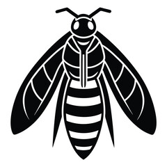 yellow jacket vector