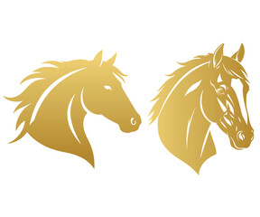 horse vector illustration