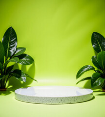 Minimal Product Display with Leaf and Green Wall Background for Natural Branding