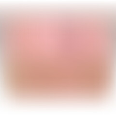 Chic blush haze gradient vector seamlessly overlay images, text, or backgrounds for UI/UX Design, Logos & Icons, Print Design, Background Effects, Product Mockups