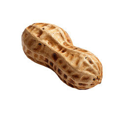 A close-up shot of a single peanut, showing its textured shell. This image captures the natural details and rustic appeal of this popular snack