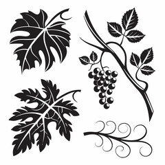 Elegant black and white grapevine leaf design elements © MST CHIN BANU BEGUM