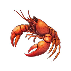 Crayfish as food isolated image on white or transparent Background