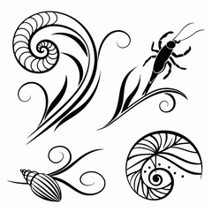Elegant black and white nautical shell insect design elements