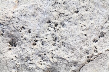 Italian limestone rock surface background