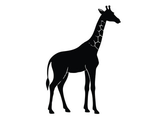a giraffe silhouette, cartoon giraffe flat icon vector illustration.