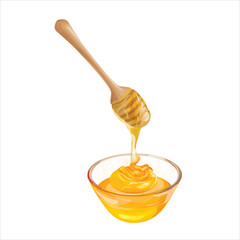 Illustration of a transparent glass bowl containing fresh and sweet melted honey from a honey dipper