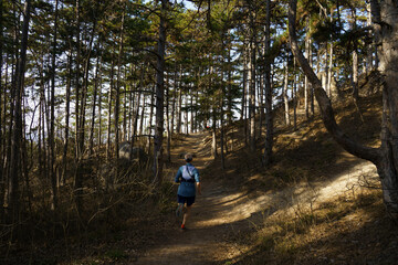 Obraz premium man running in the forest