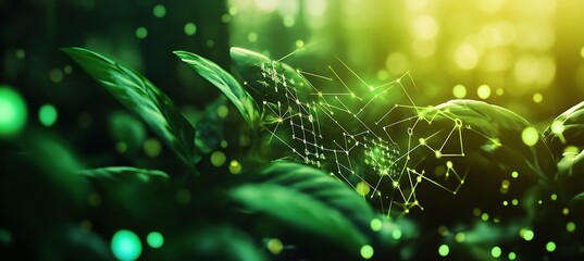 Blockchain-Based Carbon Credit Ledger Featuring Verified Green Tokens For Transparent And Secure Environmental Sustainability Transactions