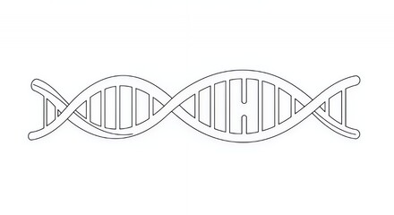 DNA Double Helix: A Simple Line Drawing Illustration