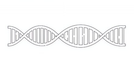 DNA Double Helix: A Simple Line Illustration