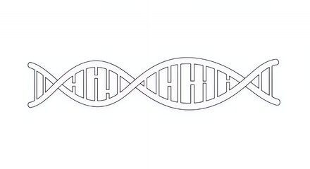 DNA Double Helix: A Simple Line Drawing