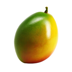 A vibrant mango fruit showcasing a blend of colors. Its smooth skin transitions from green to yellow and orange