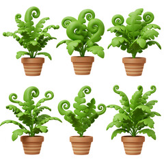 green Polypodiophyta in pot