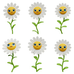 set of white flowers