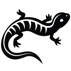 salamander vector