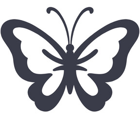 butterfly vector illustration