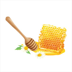 illustration of honeycomb and honey dipper with melted honey