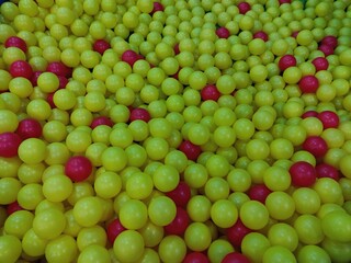 red and green apples