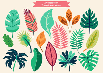 Tropical Plant Leaves Collection – 12 Stunning Botanical Illustrations for Nature Lovers