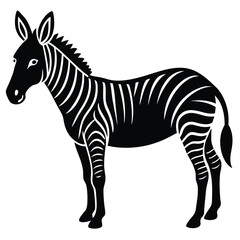 zonkey vector