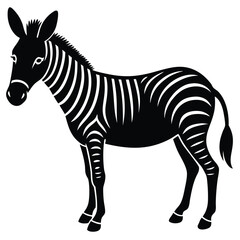 zonkey vector