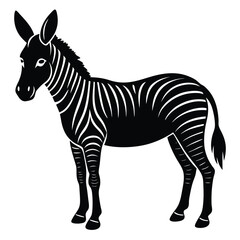 zonkey vector