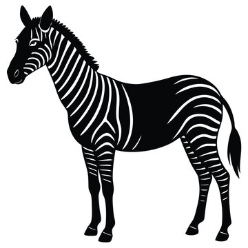 zorse vector sihouette