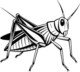 Grasshopper line art vector art icon black and whit