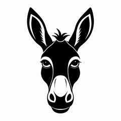 head of donkey