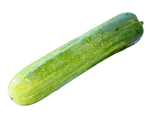Top view of single long green cucumber isolated on white background with clipping path