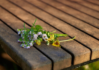 Dandelions and weeds on benches.