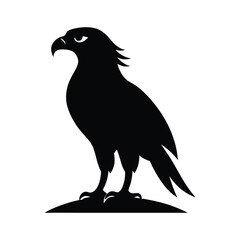 eagle vector illustration