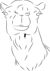 Minimalist Camel Line Drawing – Arabian Desert Animal Outline for Islamic, Travel, and Wildlife Themes

