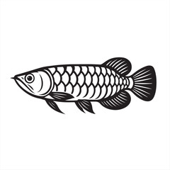 Naklejka premium vector illustration of a Arowana fish