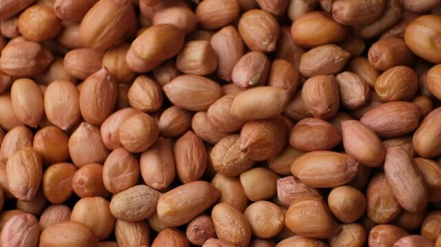 Raw whole dried peanut kernels pour, close-up, slow motion