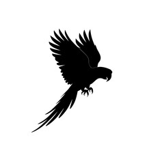 black silhouette of parrot in flight