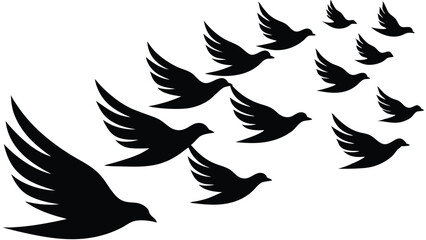 Silhouettes of Birds flock flying