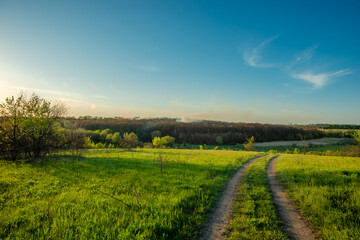 Obraz premium Dirt Road Through Green Meadow Towards Distant Forest at Sunset