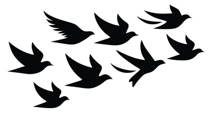 Silhouettes of Birds flock flying