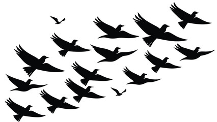 Silhouettes of Birds flock flying