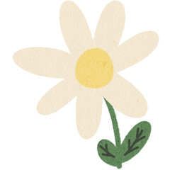 yellow flower isolated on white background