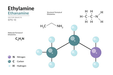 Ethylamine. Ethanamine. Structural Chemical Formula and 3d Model of Molecule. C2H7N. Atoms with Color Coding. Vector graphic Illustration for educational materials, scientific articles, presentations