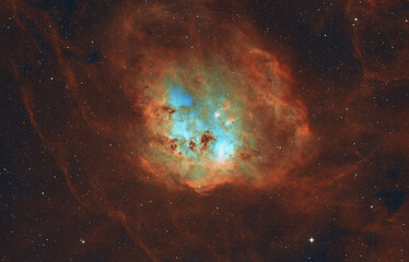 Fototapeta premium Tadpole Nebula (IC 410) Star-Forming Region in Auriga