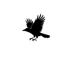 black silhouette of a crow bird with mystical symbols