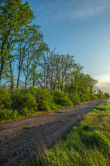 Serene Countryside View with Dirt Path and Rolling Green Hills