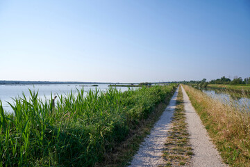 valli di comacchio
