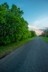 Rural Road Lined with Vibrant Green Trees at Twilight