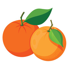 Two juicy oranges with lush green leaves isolated on white background